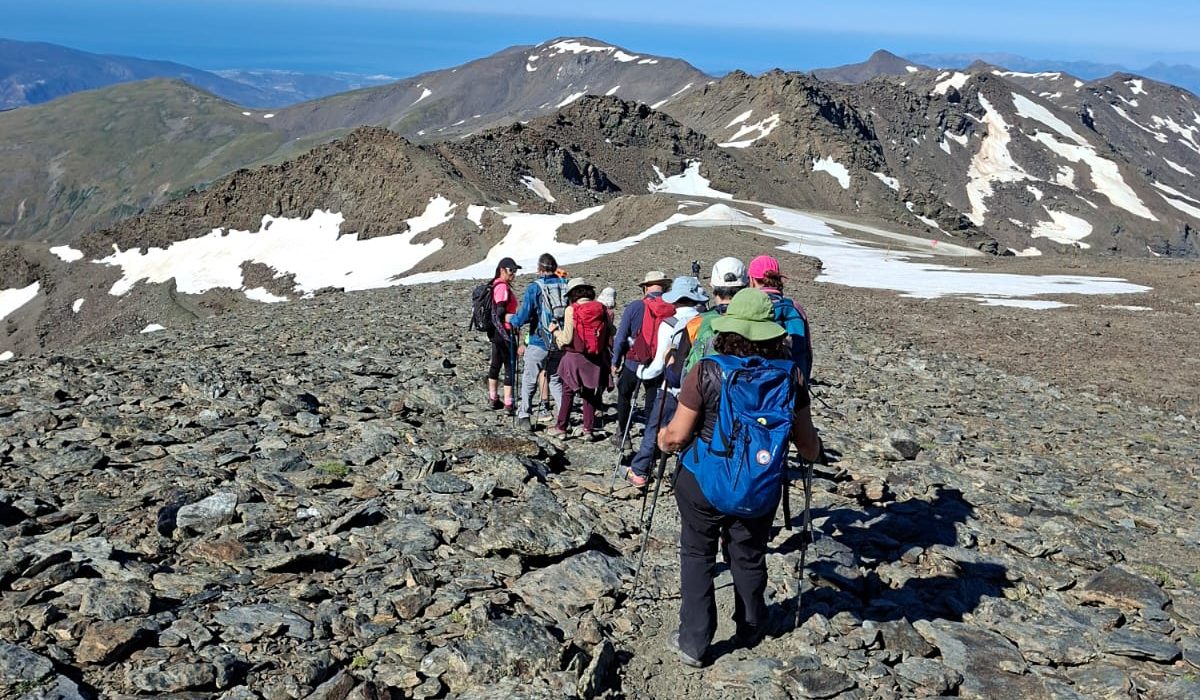 WhatsApp Image 2026-07-13 at 21.13.45 (7)